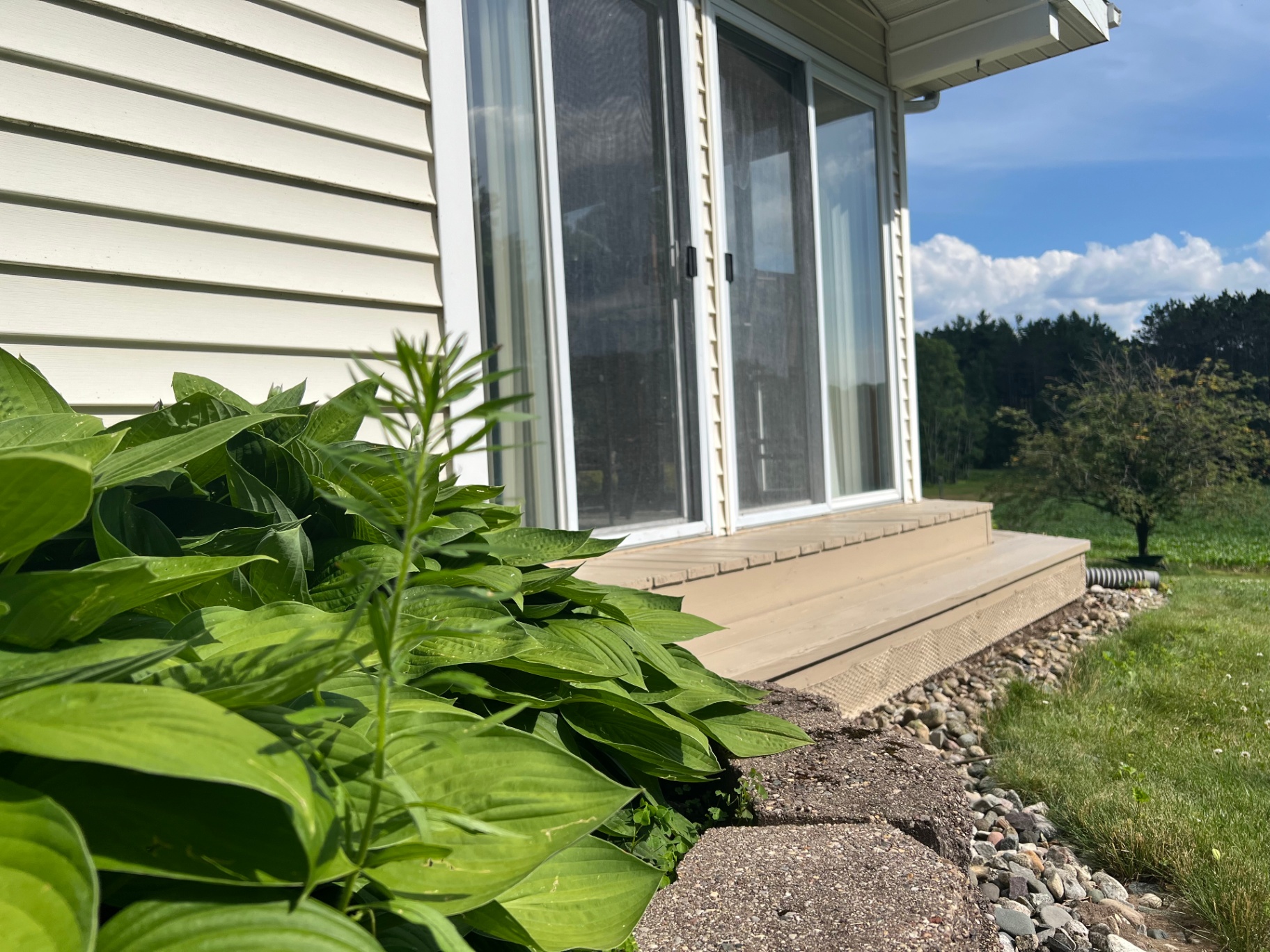Painted deck landing with clean crisp edges